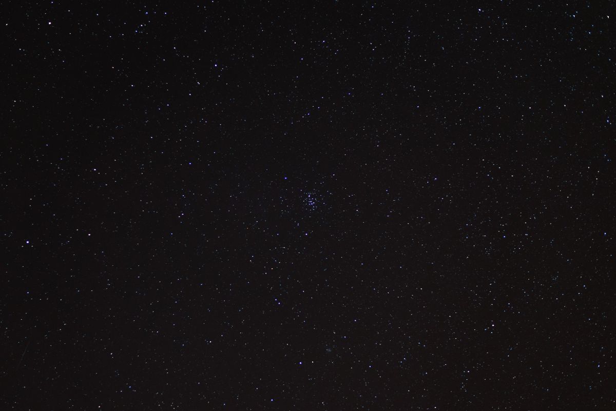 M44, amas de la Crèche