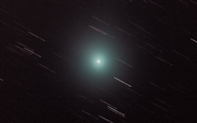 Gros plan sur Lovejoy