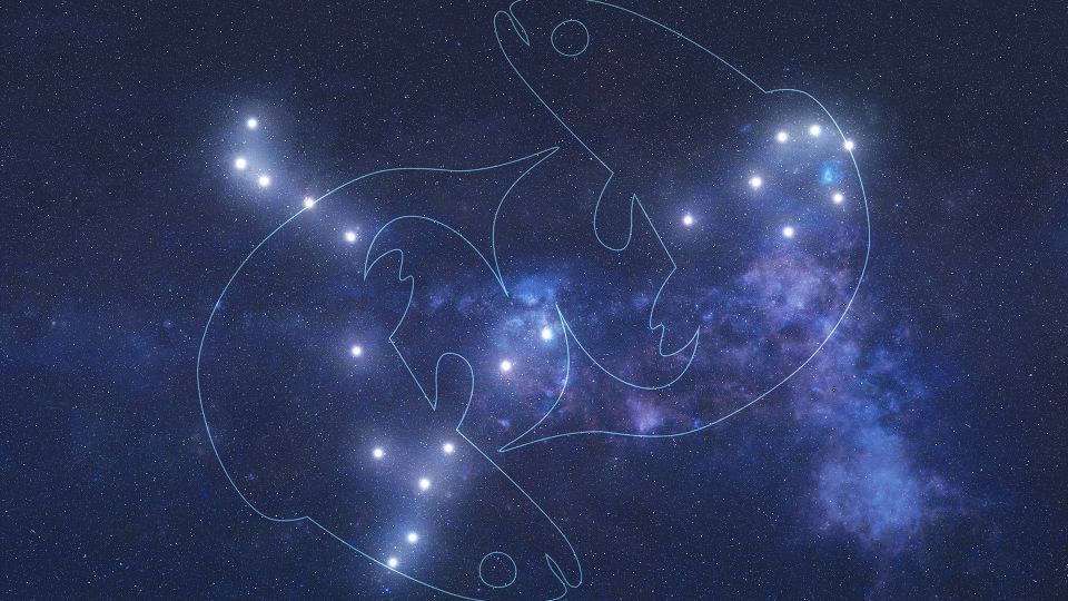 Mardi 1er avril 2014